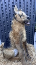 Rare Melissa  Doug Large German Shepherd Life-Size Plush Dog Stuffed Animal