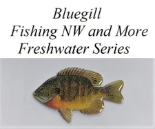 Bluegill Hat or Lapel Pin - Freshwater Series