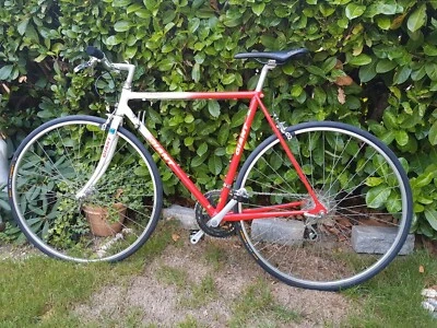 Herren Rennrad Giant Team RR, 28 Zoll, RH 54 - Bild 1 von 4