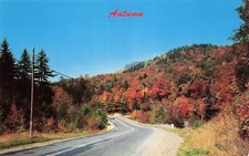 Stony Point NY New York Jack Frost Autumn Foliage Scenic View Vtg Postcard F63