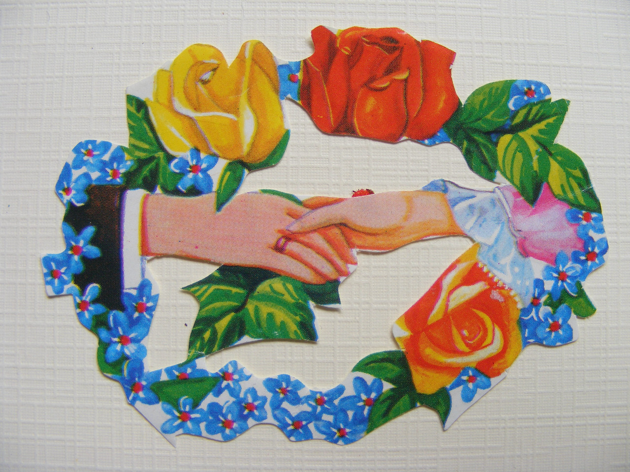 Bild 1 von 2