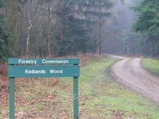 Photo 12x8 Redlands Wood Coldharbour/TQ1443 Forestry Commission land with c2011