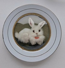 Vintage Kitsch Domed Bubble Glass 8" Plate Fluffy White Rabbit Bunny, Easter