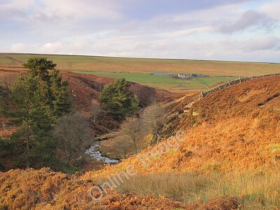 Photo 6x4 The cleugh of the Linn Burn south of Westburnhope Linn Burn/NY c2011