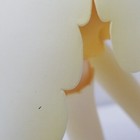 Bild 5 von 8