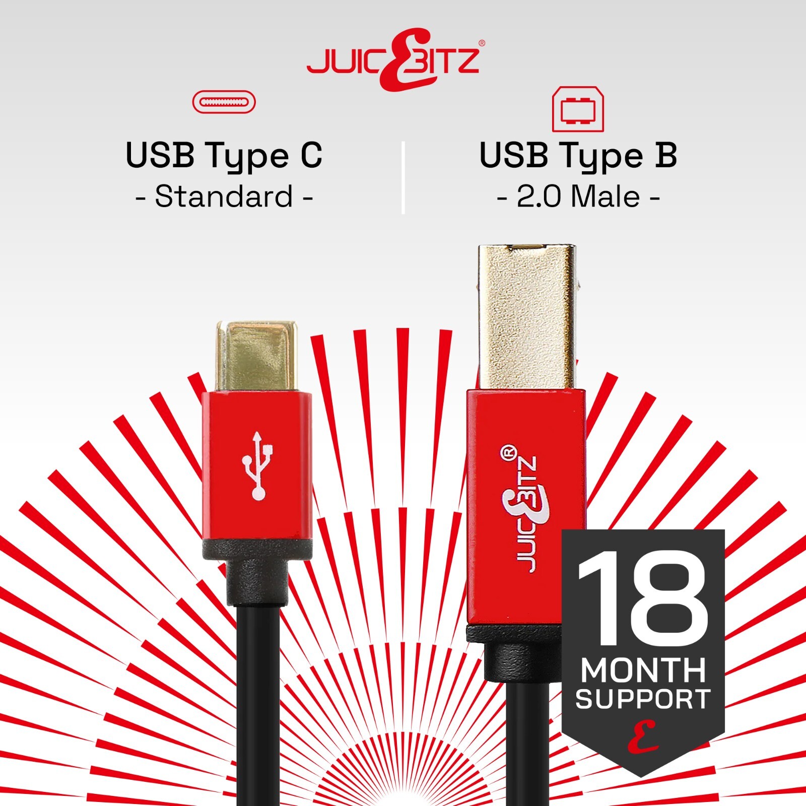 Zdjęcie 31 z 40