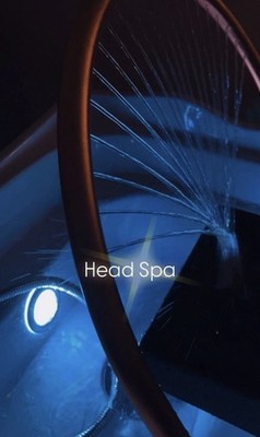 Head Spa Schulung als Selbststudium Inkl. Zertifikat + Videos 