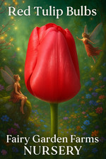YOU CHOOSE 20pack tulips and daffodil BULBS, NOT FLOWERS pick your favorites