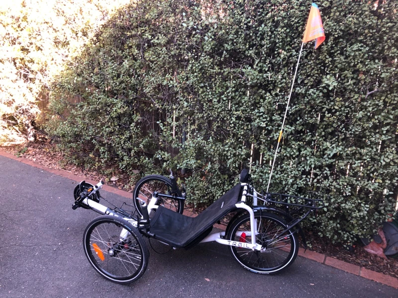 Gumtree Recumbent Trike 2025