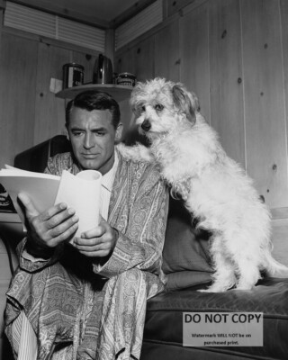 CARY GRANT REVIEWS SCRIPT WITH DOG PAWS ON HIS SHOULDER - 8X10 PHOTO (ZZ-309)