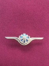 Polnische Luftstreitkräfte Tätigkeitsabzeichen Wings Flugzeugbesatzung Badge 
