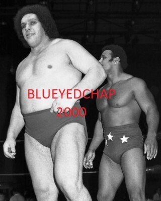 ANDRE THE GIANT ROCKY JOHNSON WRESTLER X 10