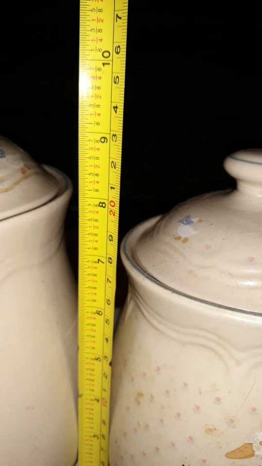 Juego de 4 botes de gansos de pato Tienshan Foto 3 de 4