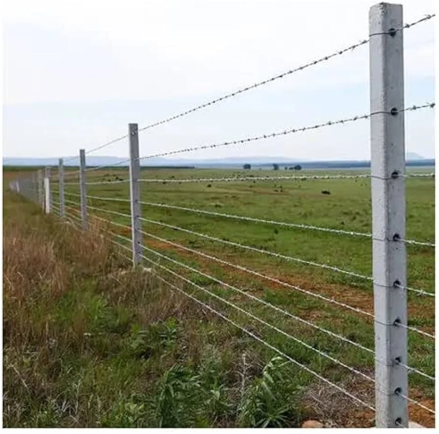 FILO SPINATO ACCIAIO ZINCATO RECINZIONE FERRO SPINOSA RETE METALLICA SPINATA - Immagine 4 di 4