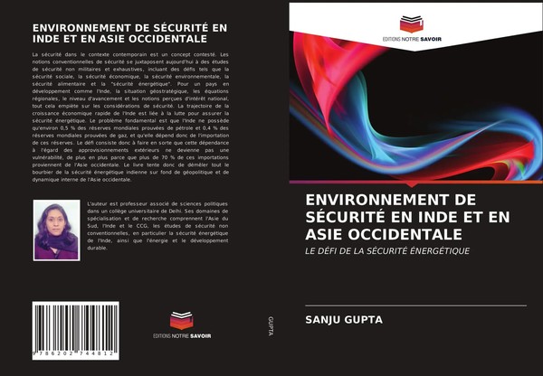 Sanju Gupta | Environnement De SÉCuritÉ En Inde Et En Asie Occidentale | Buch-image