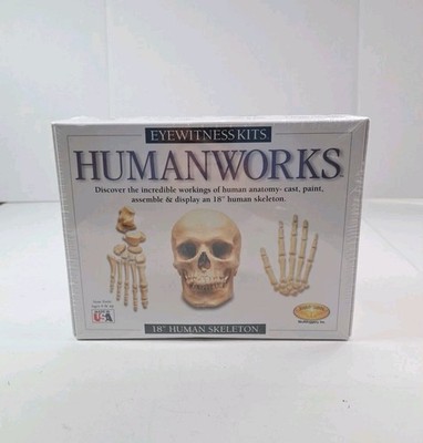Eyewitness Kits Humanworks Skeleton Casting Kit Mix Mold Pour Paint SEALED