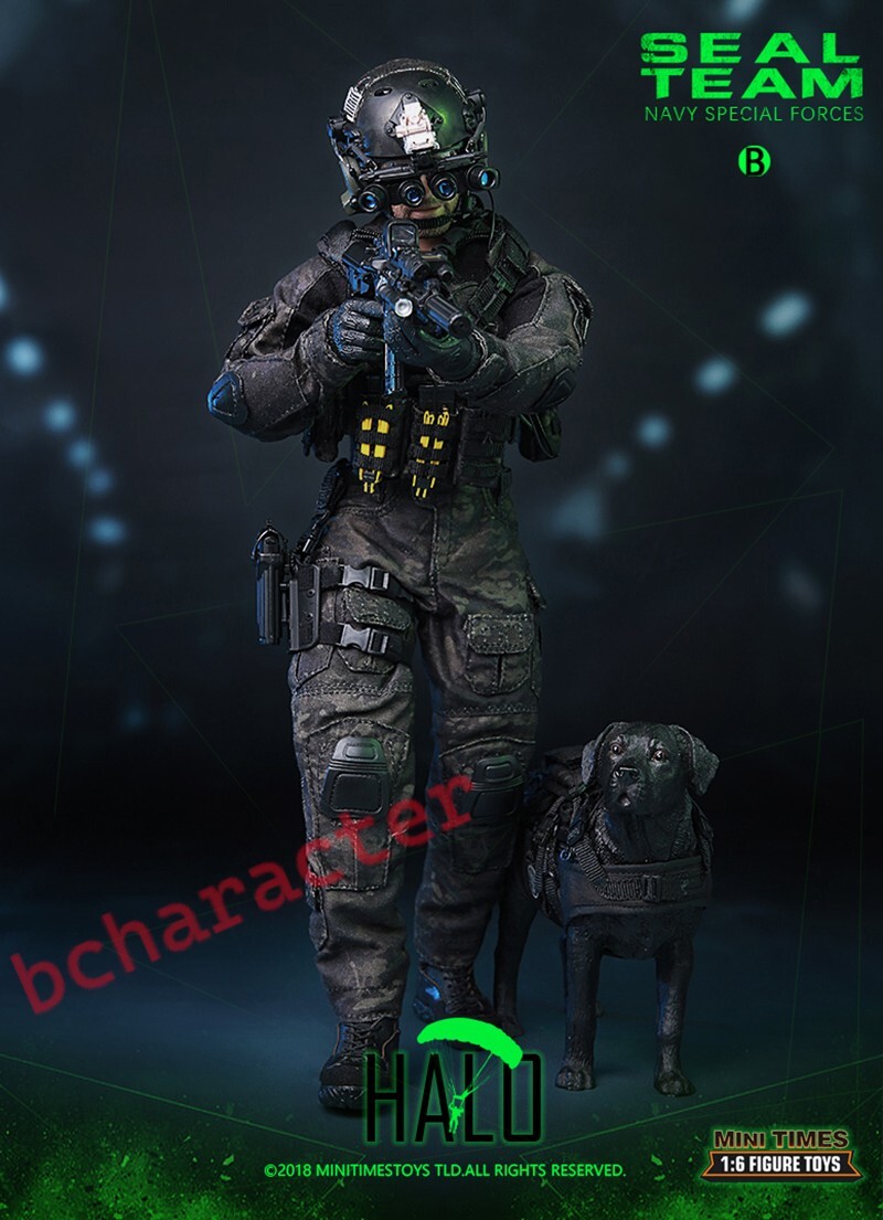 ミリタリー NAVE SEALS TEAM VI Seal Team VI Special Warfare Cap