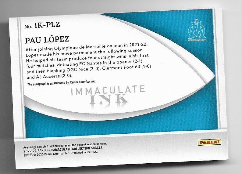 22-23 PANINI IMMACULATE ALVAREZ 直筆サインカード Stephen Curry Golden State Warriors Autographed 2022 Panini