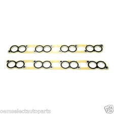 NEW OEM Ford 6.0 Diesel Intake Manifold Gasket SET Pair - Both- Powerstroke 6.0L