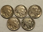 1913 Type 1, 1916, 1917, 1918, 1919 Buffalo Nickels (E12)