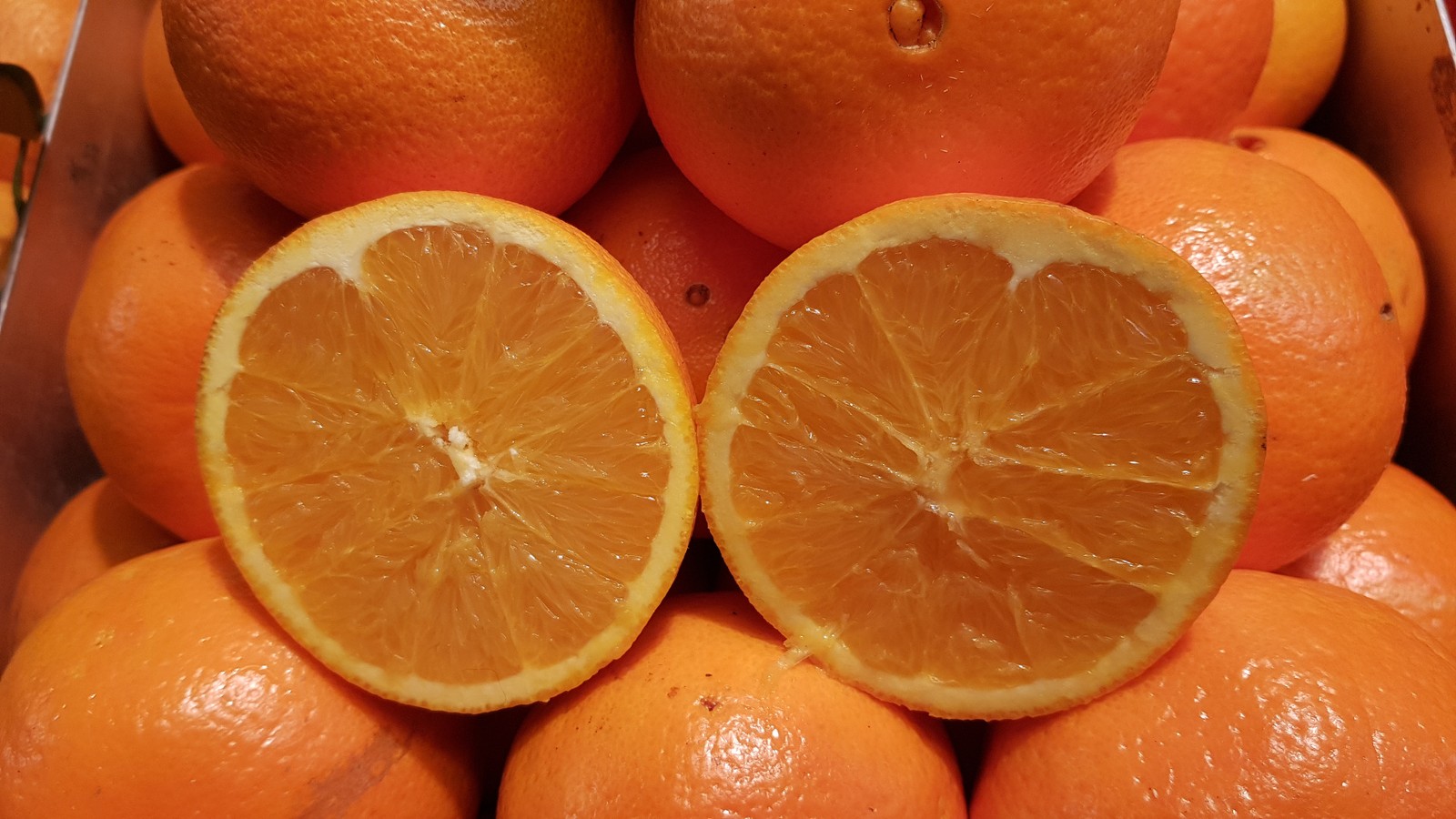 Citrus sinensis greffé sur Volkameriana : l'oranger idéal pour embellir votre terrasse