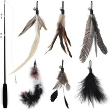 SONGWAY Interactive Cat Feather Toy Set - Retractable Teaser Wand with Black