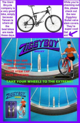 schwinn mongoose bike