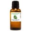 thumbnail 20 - Essential Oils - 30 mL (1 oz) - 100% Pure Therapeutic Grade Oil - 60+ Options!