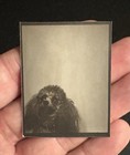Poodle Dog Puppy Canine Studio Vintage Snapshot Photobooth Photo Booth — photo 1