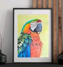Papagei Buntstiftzeichnung Original Ara Kunst Vogel Bilder Wandbild Wandgemälde
