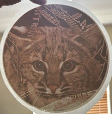 Original Vintage 1977 Cute Cat Iron On Transfer
