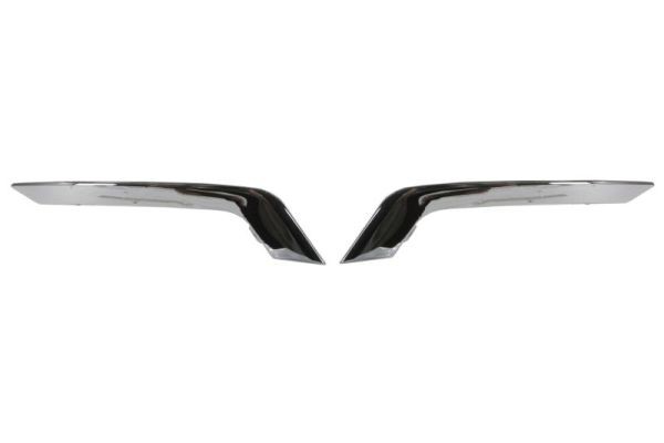 Rear BLIC 6502-07-6013970P Trim/Protection Strip, bumper for RENAULT