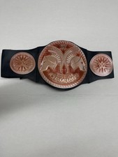 WWE Tag Team World Heavyweight Champion Title Belt Mattel Kids Replica Toy 2014