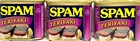 Spam Teriyaki Luncheon Meat 12 oz ( Pack of 3 )~5/2027