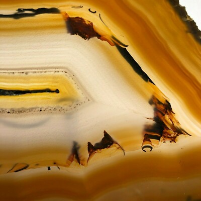 Achat Scheibe 22 x 10,5 cm Agate Slice Achatscheibe Agate