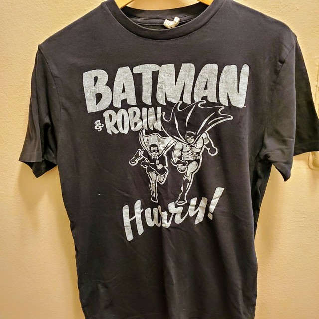 batman and robin hurry t shirt