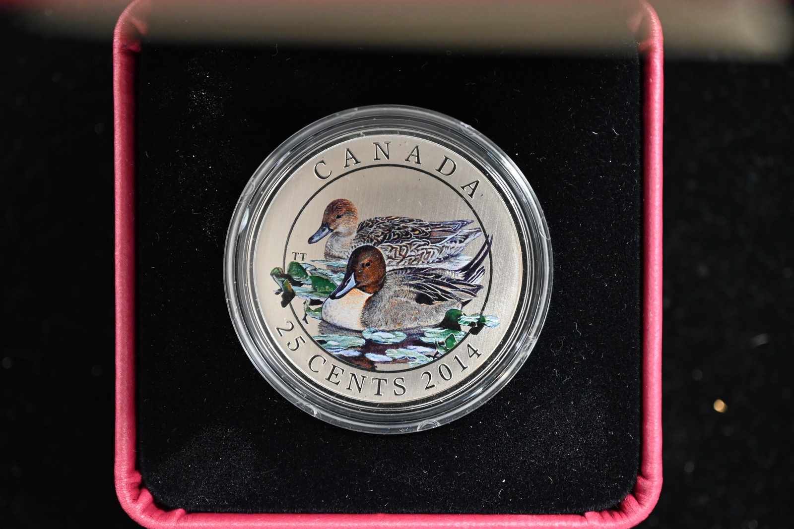 2014 Canada. 25 Cents. "The Pintail". 