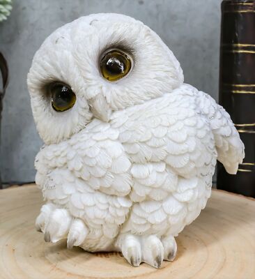 Ebros Adorable Snowy Tundra White Baby Owl Wobble Tiptoeing Happy