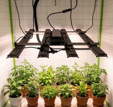 Commercial Grade 4000w Spider Led Grow Light Full Spectrum Dimmable Indoor Plant