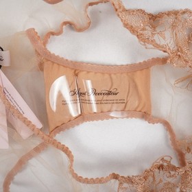 Agent Provocateur Jayce Lace Bra & Brief In Praline (Set of 2) - W Size 36B & 5