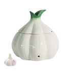 Garlic Keeper for Counter，with Lid and Holes GarlicSaver,Garlic Holder Storag...