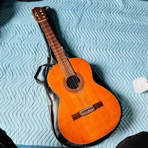 Zen on Guitar | eBay