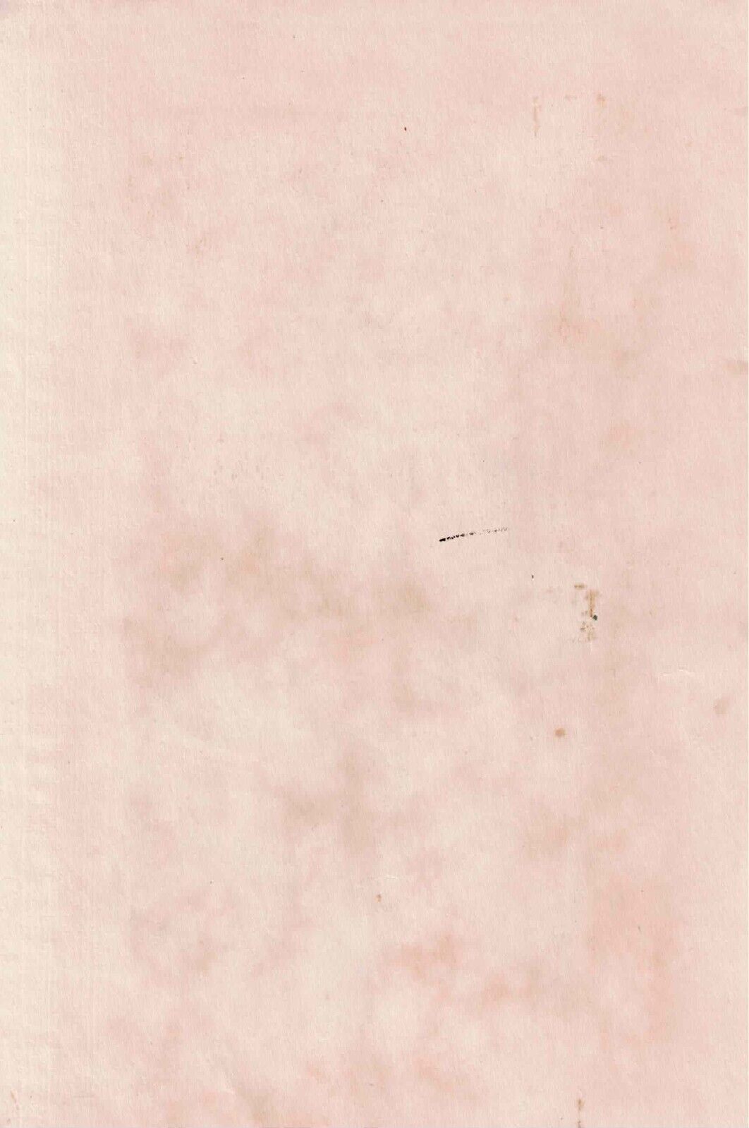 Foto 2 di 2