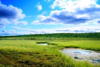 Wandbild: North Mountain Lake (4635401)