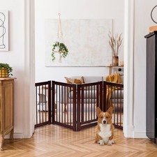 30-Inch Tall 4-Panel Freestanding Pet Gate - Pine Wood with Rotating Extensions