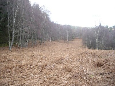 Foto 6x4 Wayleave über Sluie Hill Brücke von Canny für Stromleitungen Richtung c2009