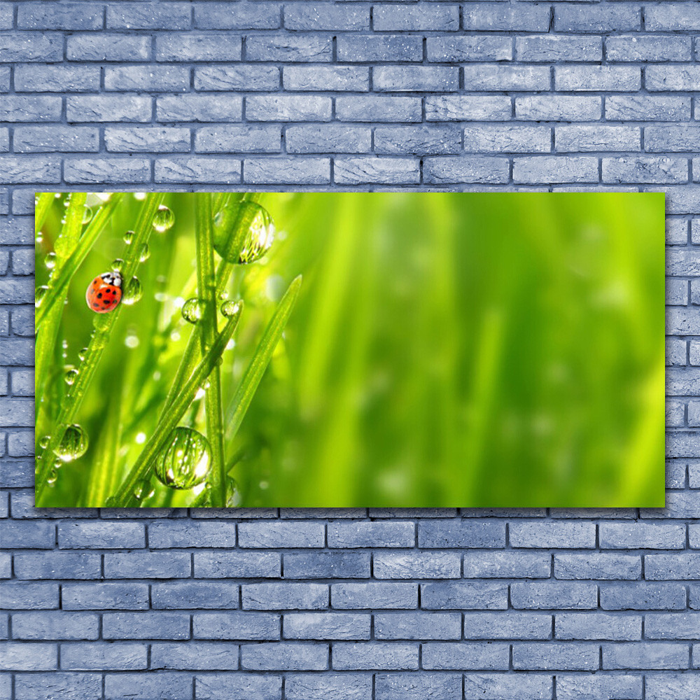 Photo sur toile 140x70 tableau impression nature herbe et coccinelle