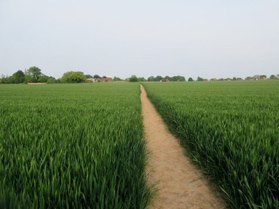 Foto A2 Fußweg nach Ickham öffentlicher Fußweg CB183. Vergleich mit reifen cor c2016