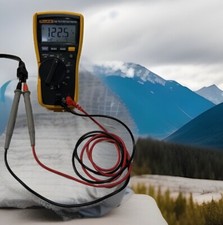 Fluke 116 Digital True RMS Multimeter-leads AC/DC600V,Hz,Ohm,Temp,Capacitr,Diode