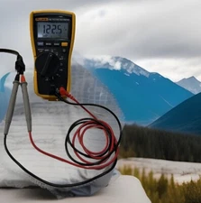 Fluke 116 Digital True RMS Multimeter-leads AC/DC600V,Hz,Ohm,Temp,Capacitr,Diode